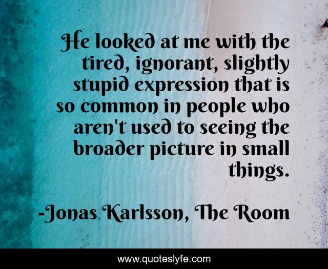 He looked at me with the tired, ignorant, slightly stupid expression that is so common in people who aren't used to seeing the broader picture in small things.