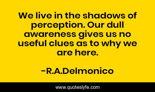 We live in the shadows of perception. Our dull awareness gives us no useful clues as to why we are here.