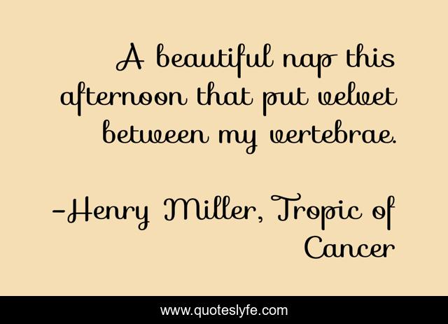 A beautiful nap this afternoon that put velvet between my vertebrae.