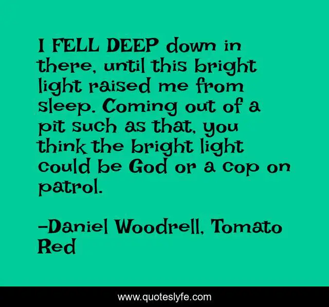 I FELL DEEP down in there, until this bright light raised me from sleep. Coming out of a pit such as that, you think the bright light could be God or a cop on patrol.