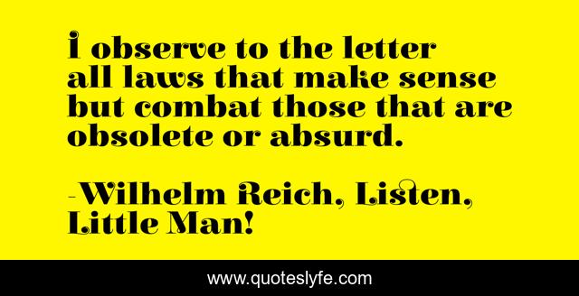 I observe to the letter all laws that make sense but combat those that are obsolete or absurd.
