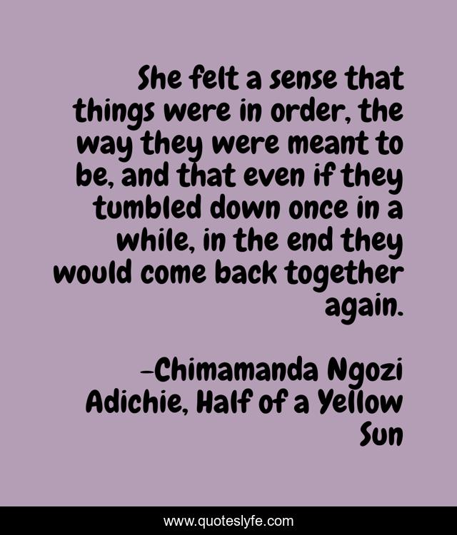 She felt a sense that things were in order, the way they were meant to be, and that even if they tumbled down once in a while, in the end they would come back together again.