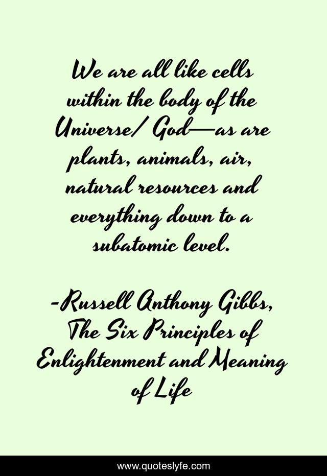 We are all like cells within the body of the Universe/ God—as are plants, animals, air, natural resources and everything down to a subatomic level.