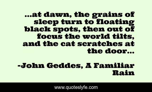 ...at dawn, the grains of sleep turn to floating black spots, then out of focus the world tilts, and the cat scratches at the door...