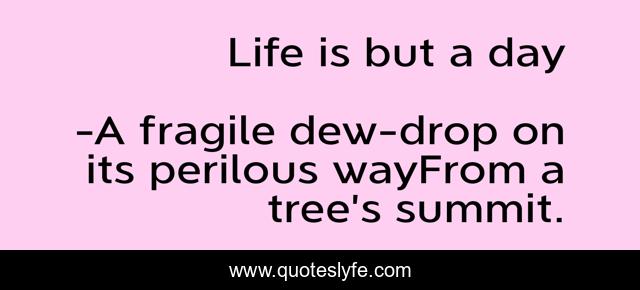 Life is but a day