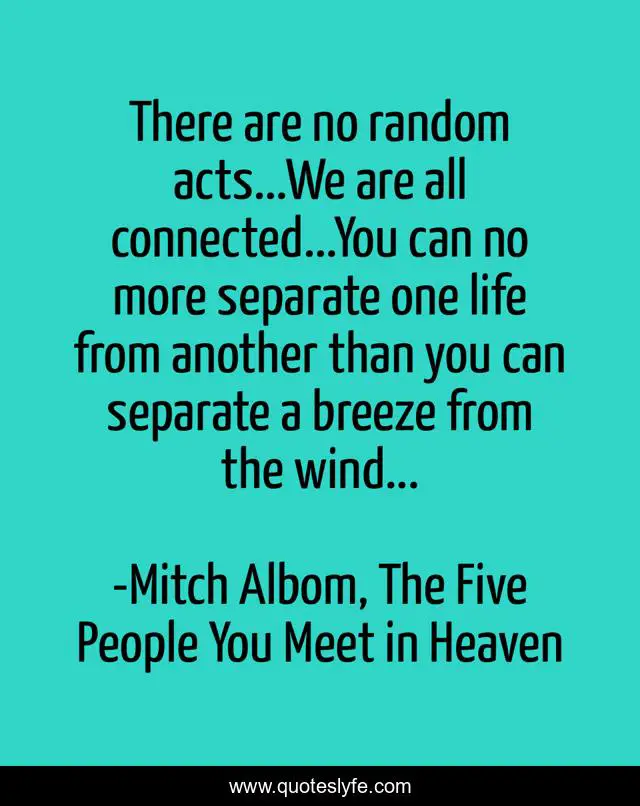 There are no random acts...We are all connected...You can no more separate one life from another than you can separate a breeze from the wind...