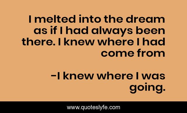 I melted into the dream as if I had always been there. I knew where I had come from