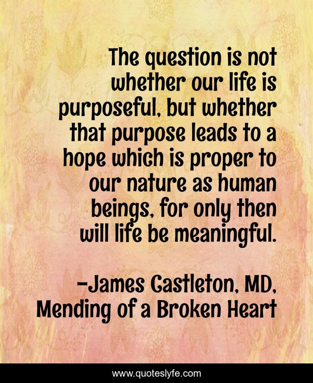The question is not whether our life is purposeful, but whether that purpose leads to a hope which is proper to our nature as human beings, for only then will life be meaningful.