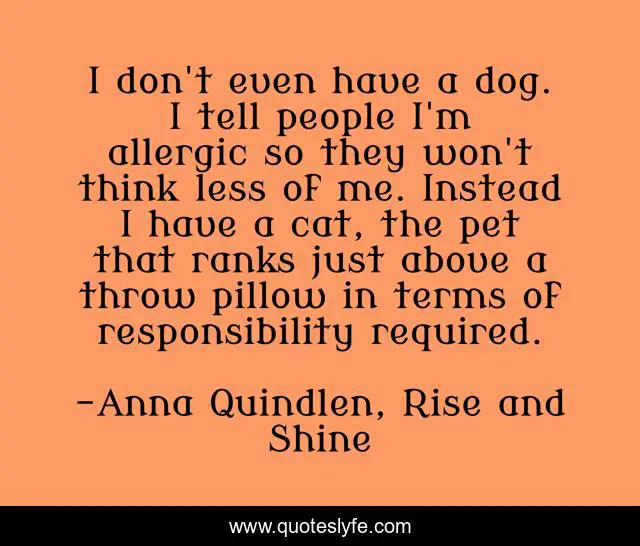 I don't even have a dog. I tell people I'm allergic so they won't think less of me. Instead I have a cat, the pet that ranks just above a throw pillow in terms of responsibility required.