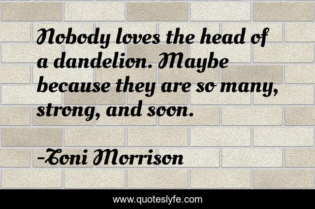 Nobody loves the head of a dandelion. Maybe because they are so many, strong, and soon.