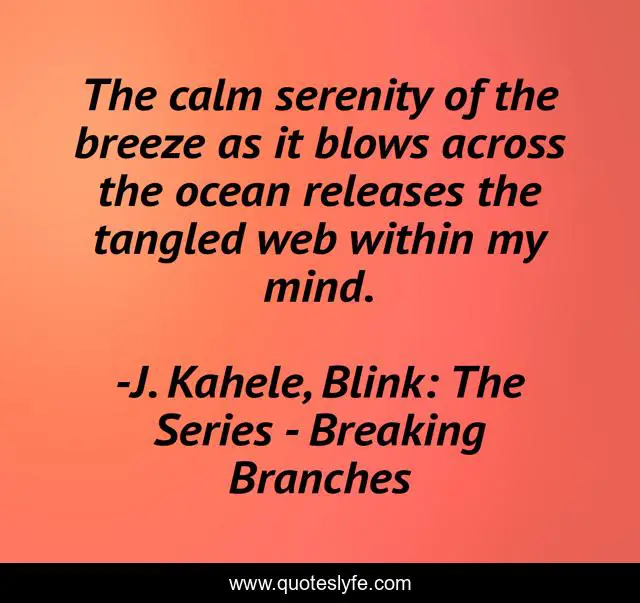 The calm serenity of the breeze as it blows across the ocean releases the tangled web within my mind.