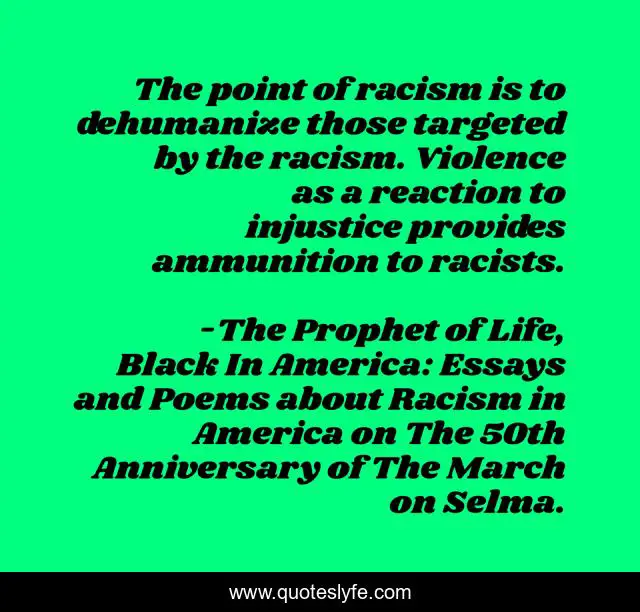 The point of racism is to dehumanize those targeted by the racism. Violence as a reaction to injustice provides ammunition to racists.
