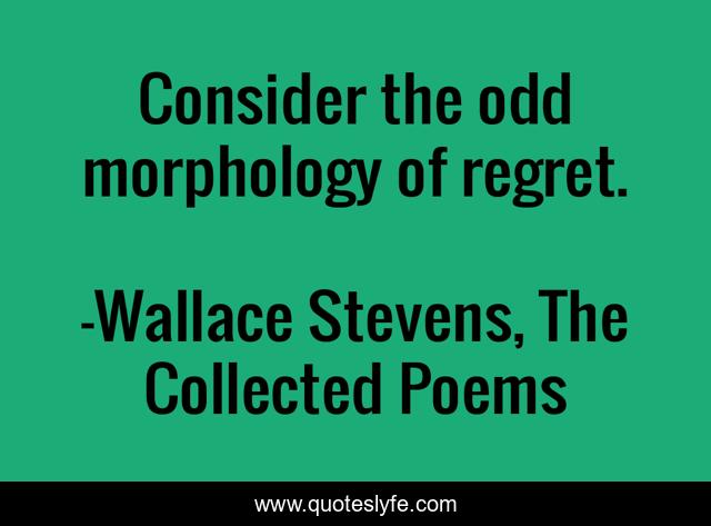 Consider the odd morphology of regret.