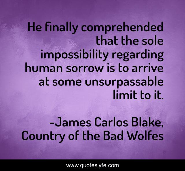 He finally comprehended that the sole impossibility regarding human sorrow is to arrive at some unsurpassable limit to it.
