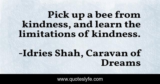 Pick up a bee from kindness, and learn the limitations of kindness.