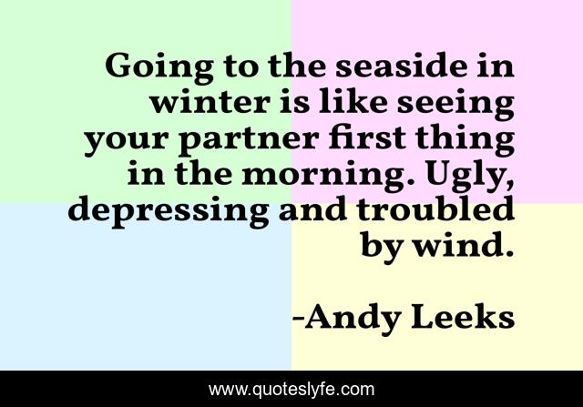 Going to the seaside in winter is like seeing your partner first thing in the morning. Ugly, depressing and troubled by wind.