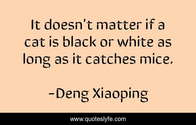 It doesn't matter if a cat is black or white as long as it catches mice.