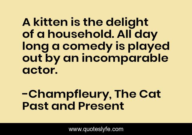 A kitten is the delight of a household. All day long a comedy is played out by an incomparable actor.