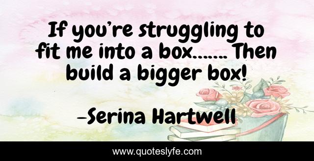If you’re struggling to fit me into a box……. Then build a bigger box!