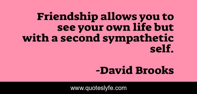 Friendship allows you to see your own life but with a second sympathetic self.