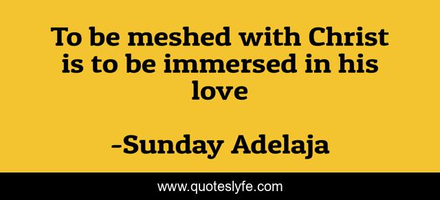 To be meshed with Christ is to be immersed in his love
