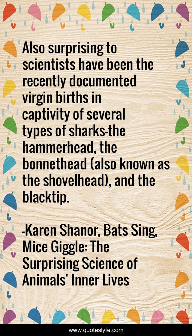 Also surprising to scientists have been the recently documented virgin births in captivity of several types of sharks—the hammerhead, the bonnethead (also known as the shovelhead), and the blacktip.