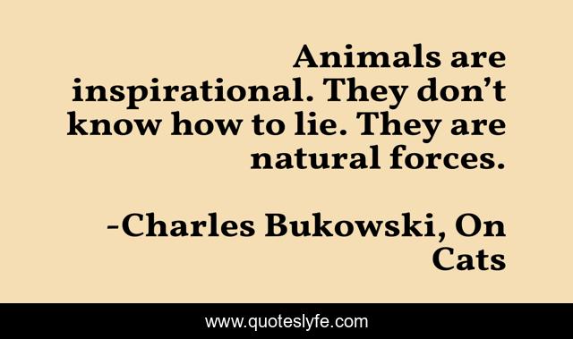 Animals are inspirational. They don’t know how to lie. They are natural forces.