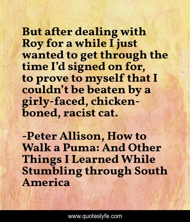 But after dealing with Roy for a while I just wanted to get through the time I’d signed on for, to prove to myself that I couldn’t be beaten by a girly-faced, chicken-boned, racist cat.