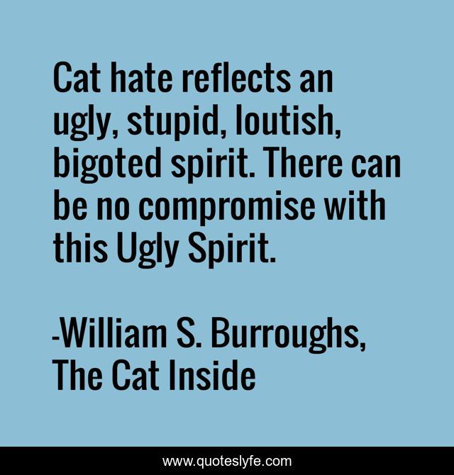 Cat hate reflects an ugly, stupid, loutish, bigoted spirit. There can be no compromise with this Ugly Spirit.