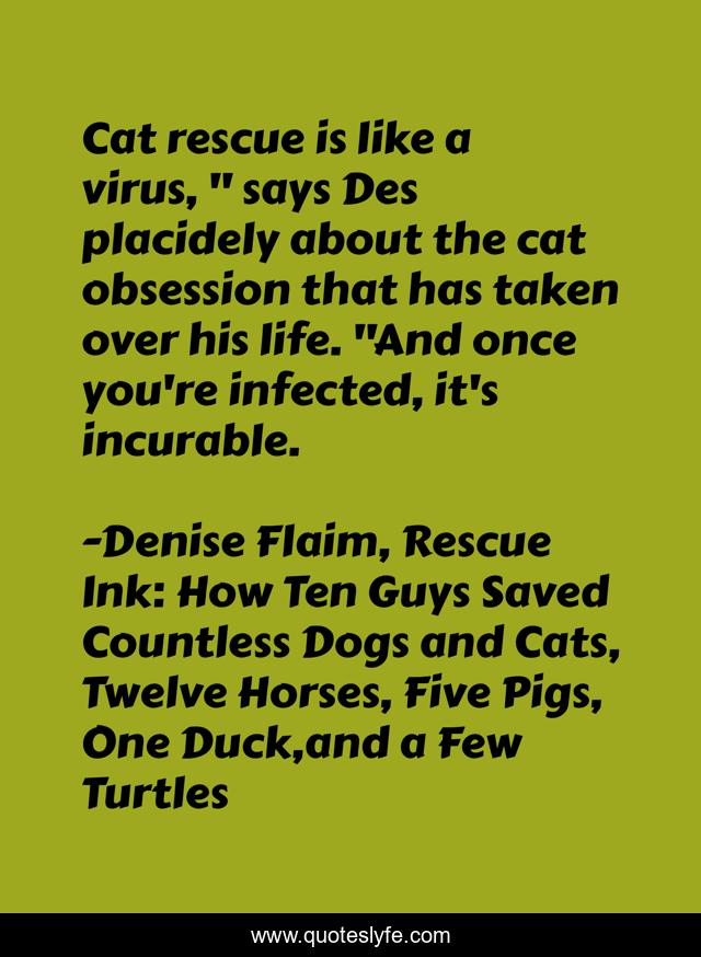 Cat rescue is like a virus, 