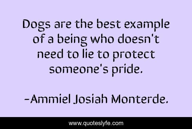Dogs are the best example of a being who doesn't need to lie to protect someone's pride.