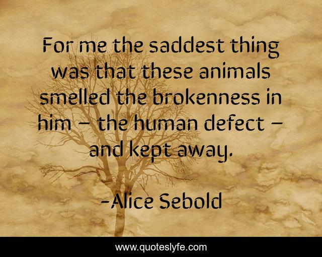 For me the saddest thing was that these animals smelled the brokenness in him – the human defect – and kept away.
