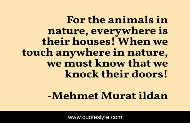 For the animals in nature, everywhere is their houses! When we touch anywhere in nature, we must know that we knock their doors!