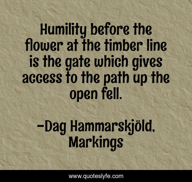 Humility before the flower at the timber line is the gate which gives access to the path up the open fell.