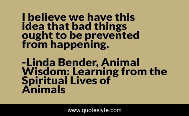 I believe we have this idea that bad things ought to be prevented from happening.