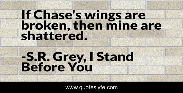 If Chase's wings are broken, then mine are shattered.