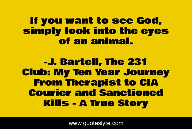 If you want to see God, simply look into the eyes of an animal.