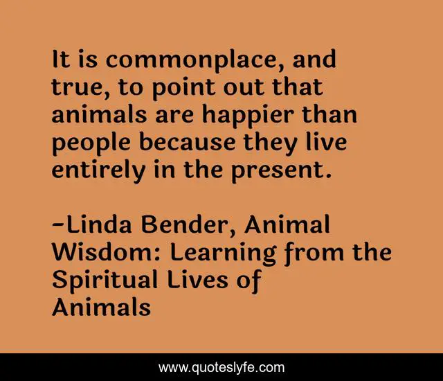 It is commonplace, and true, to point out that animals are happier than people because they live entirely in the present.