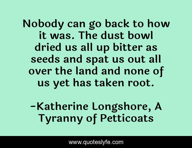 Nobody can go back to how it was. The dust bowl dried us all up bitter as seeds and spat us out all over the land and none of us yet has taken root.