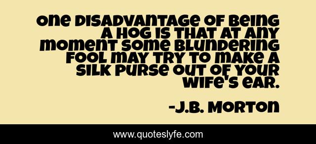 One disadvantage of being a hog is that at any moment some blundering fool may try to make a silk purse out of your wife's ear.