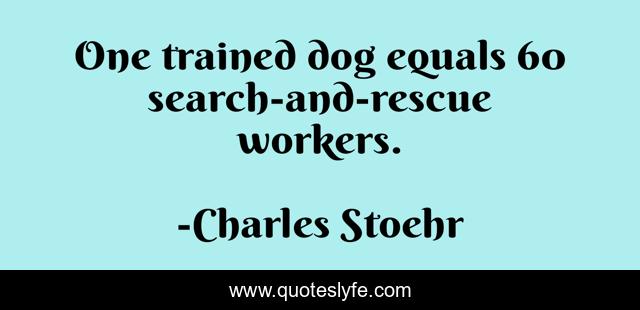 One trained dog equals 60 search-and-rescue workers.