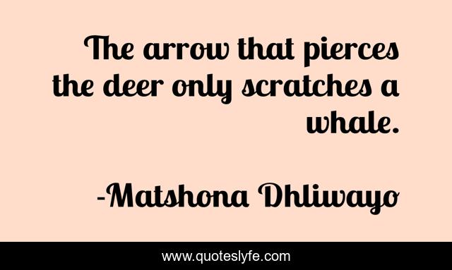 The arrow that pierces the deer only scratches a whale.