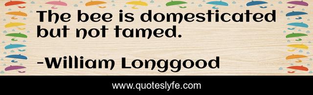 The bee is domesticated but not tamed.