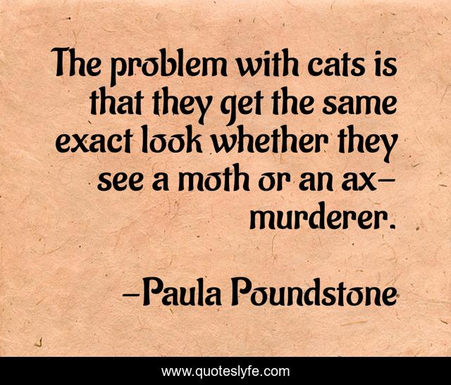 The problem with cats is that they get the same exact look whether they see a moth or an ax-murderer.