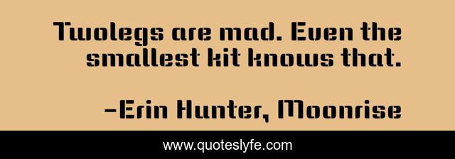 Twolegs are mad. Even the smallest kit knows that.