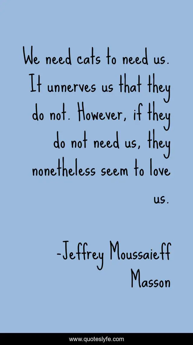 We need cats to need us. It unnerves us that they do not. However, if they do not need us, they nonetheless seem to love us.