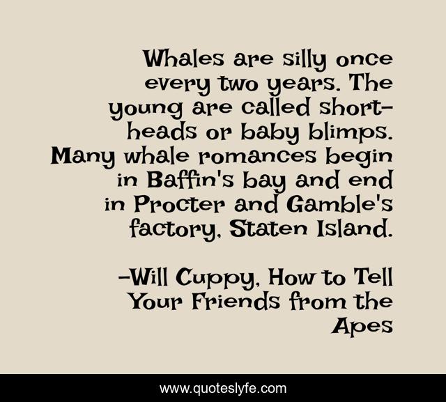 Whales are silly once every two years. The young are called short-heads or baby blimps. Many whale romances begin in Baffin's bay and end in Procter and Gamble's factory, Staten Island.