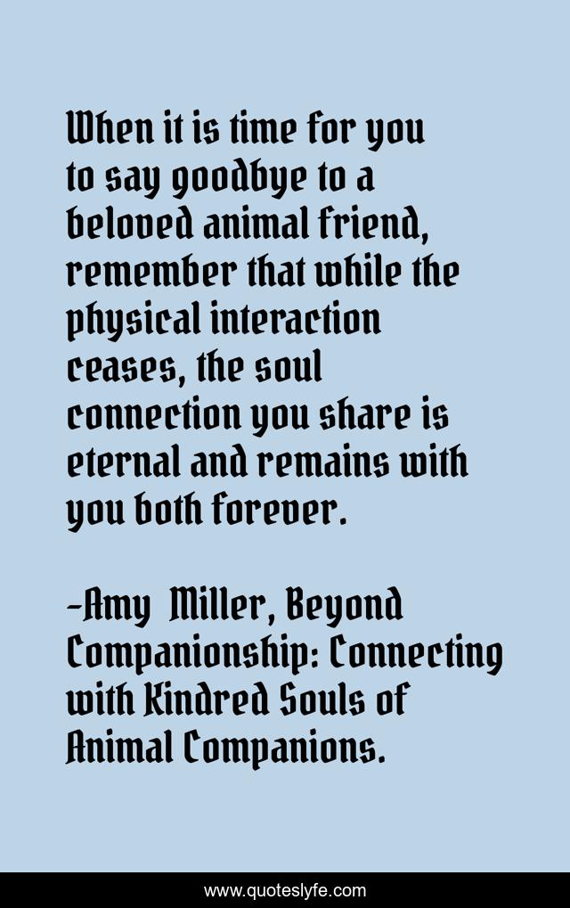 When it is time for you to say goodbye to a beloved animal friend, remember that while the physical interaction ceases, the soul connection you share is eternal and remains with you both forever.