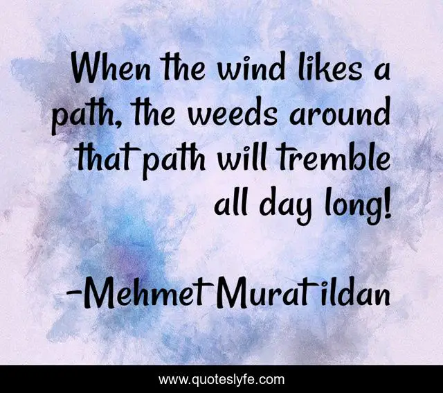 When the wind likes a path, the weeds around that path will tremble all day long!