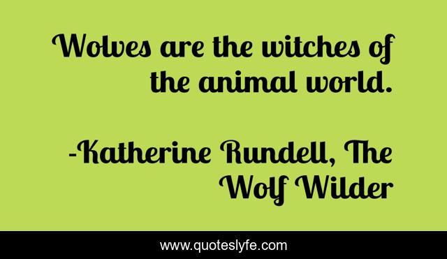 Wolves are the witches of the animal world.
